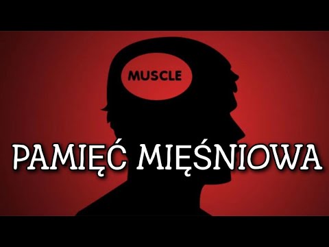 PAMIĘĆ MIĘŚNIOWA