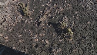Los vecinos de Sanchinarro denuncian el abandono del parque de la Ría