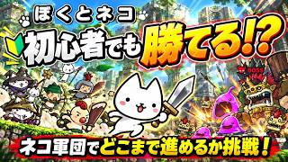 【ぼくとネコ】【PR】初心者でも勝てる！？ネコ軍団でどこまで進めるか挑戦！