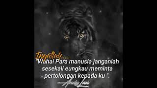 Download lagu STORY WA 30 DETIK MACAN PUTIH 🔥lir Ilir sunan Kalijaga mp3