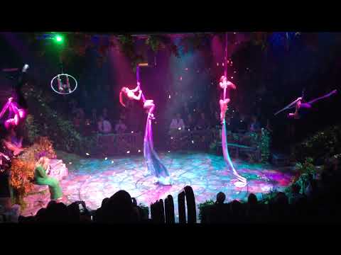 Thank You Party — Hale Center Theatre