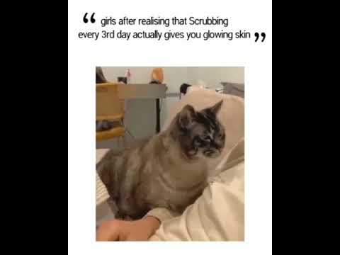 insta- doctorharneet