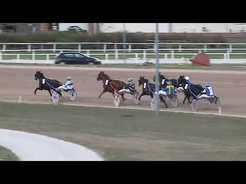 2023.04.01. 06. futam - FOREST SUN DÍJ