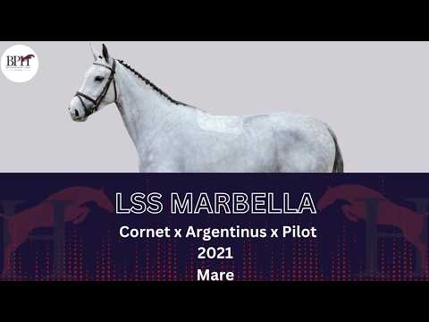 LSS Marbella
