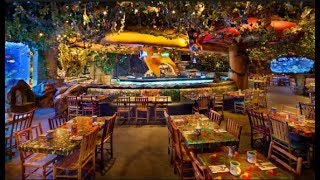 Rainforest Cafe Niagara Falls - Kids Favorite Cafe