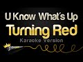 Turning Red - U Know What's Up (Karaoke Version)