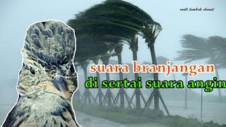 Download lagu suara branjangan di sertai dengan suara angin cocok untuk terapi beranjangan macet mp3