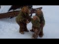 Astrid Lindgrens Jul Lucka 4 Ronja Rövardotter
