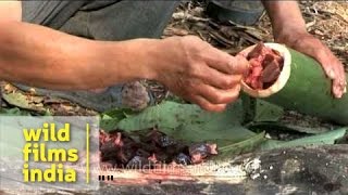 Wild boar cooked in bamboo