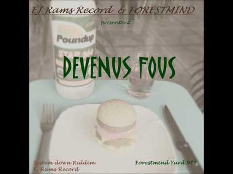 Devenus Fou -Forestmind 2017- System down Riddim
