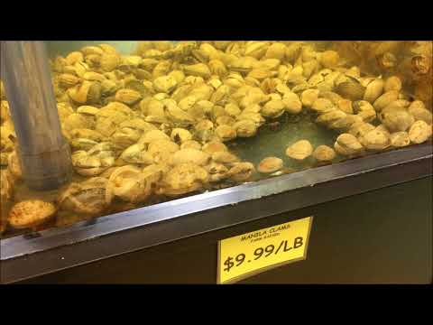 Novo mercado municipal de Sagaya - Lagostas/amêijoas/ostras - Anchorage Alasca