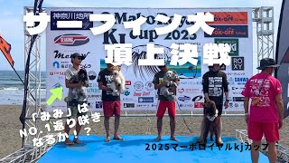 【ドッグサーフィン#42】サーフィン犬の頂上決戦　イングリッシュコッカースパニエル「みみ」の気持ち