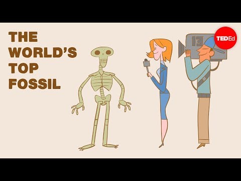 【TED-Ed】How to fossilize...yourself - Phoebe A. Cohen