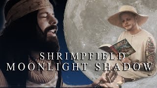 Moonlight Shadow - Mike Oldfield (Shrimpfield PopPunk COVER)