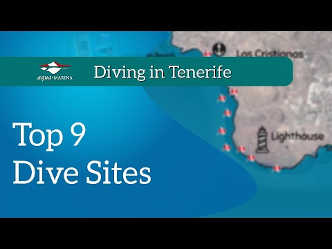 Top 9 dive sites in Tenerife | Dive Sites