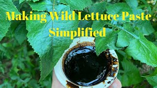 Making Wild Lettuce Paste Medicine simple