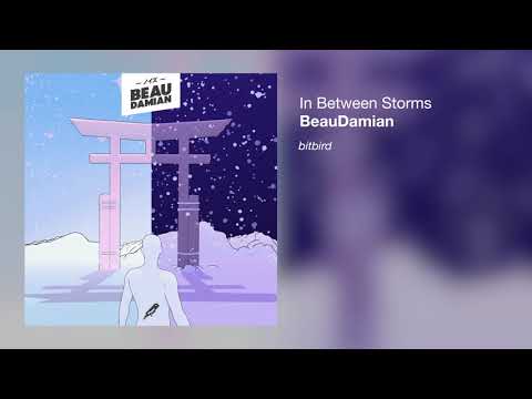 BeauDamian - In Between Storms