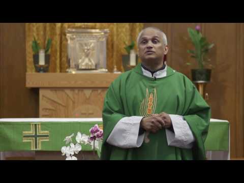 Fr. Rudolf V. D'Souza - Whoever comes to me and does not hate their father and mother.