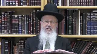 הגאון הרב אברהם יוסף שליט"א האם מברכים שהחיינו בימי בין המצרים על חבר שלא ראה הרבה זמן (הרב אברהם יוסף) - התמונה מוצגת ישירות מתוך אתר האינטרנט יוטיוב. זכויות היוצרים בתמונה שייכות ליוצרה. קישור קרדיט למקור התוכן נמצא בתוך דף הסרטון