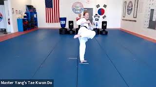 Live Class - Little Tigers & Yellow Stripe - 4.29.20 @ 4pm