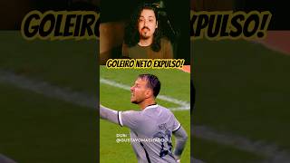 Dublagem da expulsão do goleiro Neto! #dublagem #brasileirão #botafogo #futebol