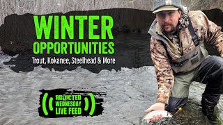 Winter Opportunities. Trout, Kokanee, Steelhead & More.