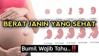 Download lagu Perkembangan Berat Janin yang Sehat, Bumil Wajib Tahu! mp3 Download lagu Perkembangan Berat Janin yang Sehat, Bumil Wajib Tahu! mp3