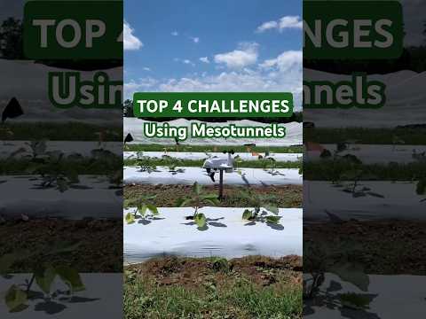 Top 4 Challenges Farmers Face When Using Mesotunnels
