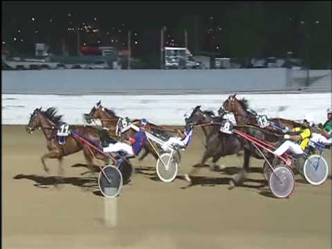 Trotto 22/07/2017 - 7ª corsa