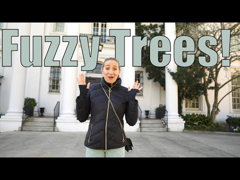 Fuzzy Trees Dispensary