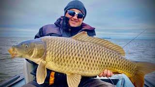 Подводный ЛЕС где КОРЯГИ ОЖИВАЮТ!