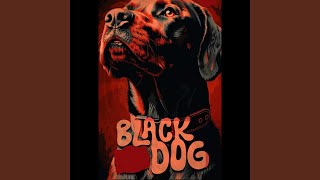 Download lagu BLACK DOG mp3