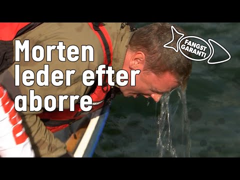 ABORREFISKERI FANGSTGARANTI