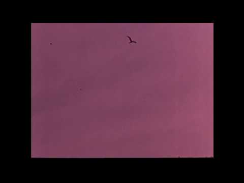 David Darling - Stones Start Spinning