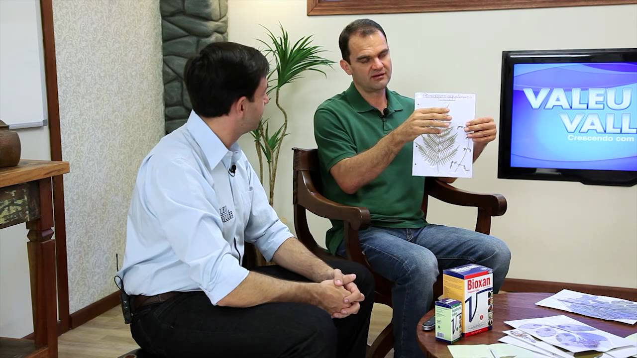 Intoxicação por plantas - Programa Valeu Vallée