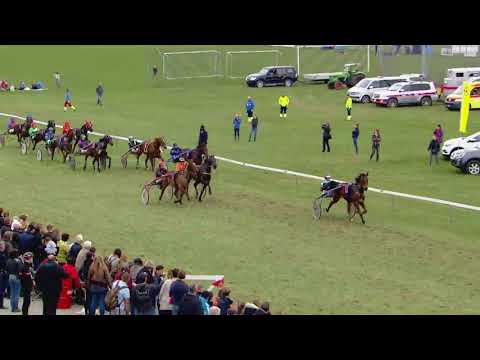 Fehraltorf/02.04.2018/Preis Vin Vaudois bei WeinArt Zurich