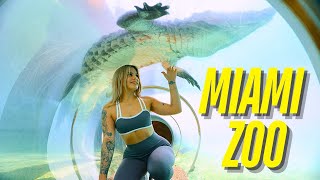 DANGEROUS Miami Zoo Tour: Tigers With NO FENCE?! 😱