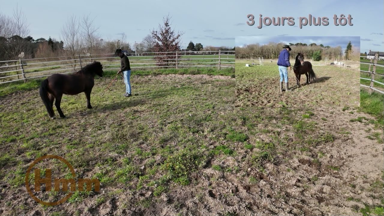 3 eme seance