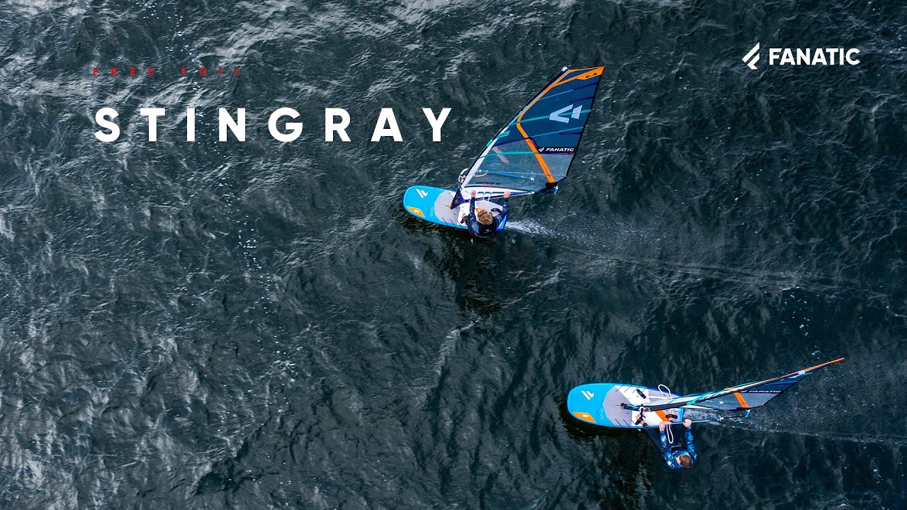 Fanatic Stingray/LTD 2021