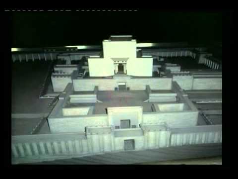 1. Vremea impacarii - Nicu Butoi