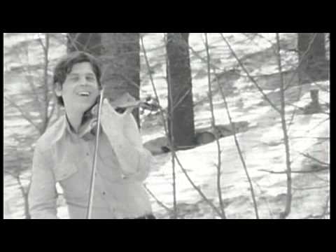 Greenhorns - Orange Blossom Special
