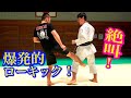 How To Use Ancient Karate Kata For The Low Kick With Various Language Subtitles