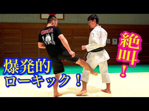 How to use Ancient Karate Kata for the low kick（with various language subtitles）
