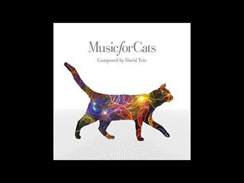 David Teie - Lolo's Air