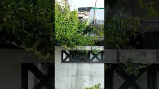  Residential Plot for Sale in Civil Lines, Nagpur