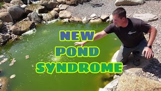 NEW POND SYNDROME - Algae Bloom Solutions | Say NO! to green pond water!!