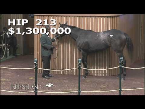 Keeneland November 2015 - Hip 213 - Sunset Glow