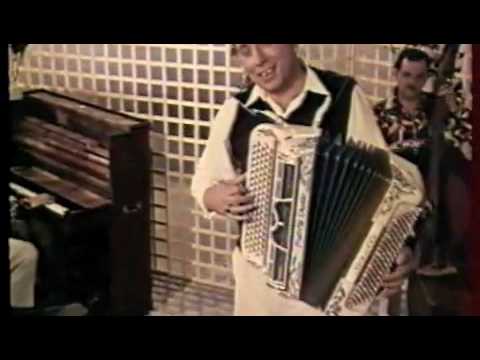 Russian Accordion By Lady 60