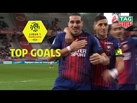 Top goals Week 19 - Ligue 1 Conforama / 2018-19