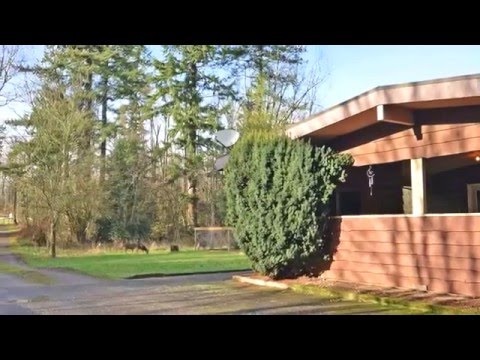 1051 256th St Langley BC - Real Estate Virtual Tour - Leo Ronse